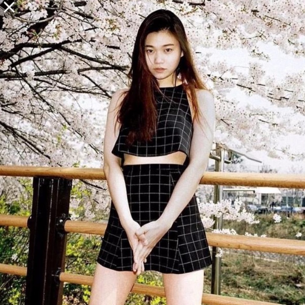 American Apparel Grid Crop Top and Skirt Set